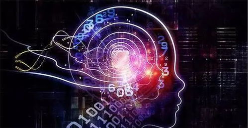 人工智能應(yīng)用軟件開發(fā) 當(dāng)科技浪潮遇上輿論漩渦，賈躍亭現(xiàn)象引發(fā)的行業(yè)思考